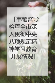 韦韬督导检查全市深入贯彻中央八项规定精神学习教育开展情况