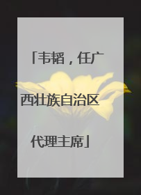 韦韬，任广西壮族自治区代理主席