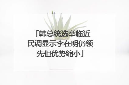 韩总统选举临近 民调显示李在明仍领先但优势缩小