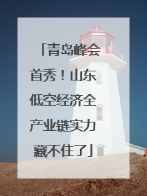 青岛峰会首秀！山东低空经济全产业链实力藏不住了