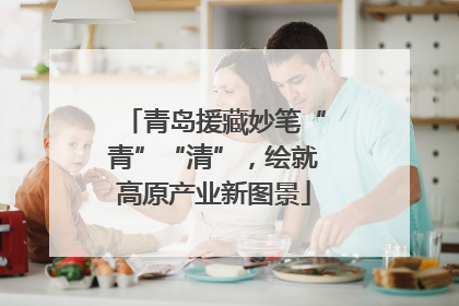 青岛援藏妙笔“青”“清”，绘就高原产业新图景