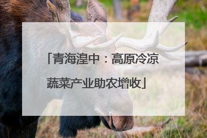 青海湟中：高原冷凉蔬菜产业助农增收
