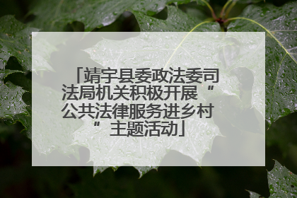 靖宇县委政法委司法局机关积极开展“公共法律服务进乡村”主题活动