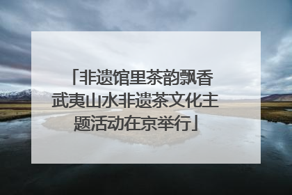 非遗馆里茶韵飘香 武夷山水非遗茶文化主题活动在京举行
