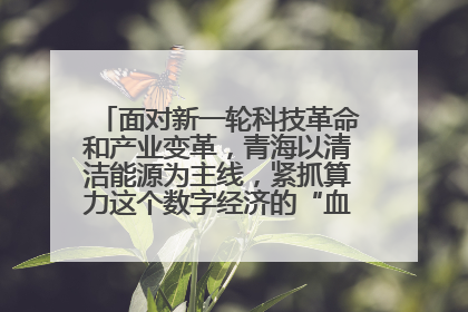 面对新一轮科技革命和产业变革，青海以清洁能源为主线，紧抓算力这个数字经济的“血液”、科技主权的“筹码”、产业升级的“杠杆”、绿色转型的“支点”，勇于撬动国家“双碳”战略、“东数西算”工程重大发展新机遇