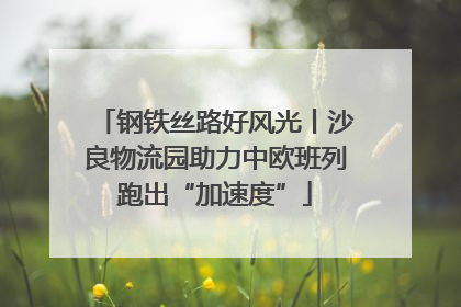 钢铁丝路好风光丨沙良物流园助力中欧班列跑出“加速度”