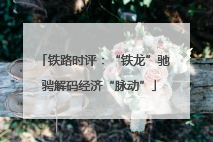 铁路时评：“铁龙”驰骋解码经济“脉动”