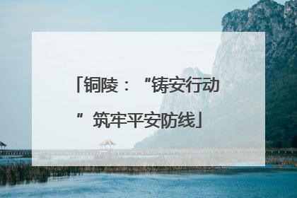 铜陵：“铸安行动”筑牢平安防线
