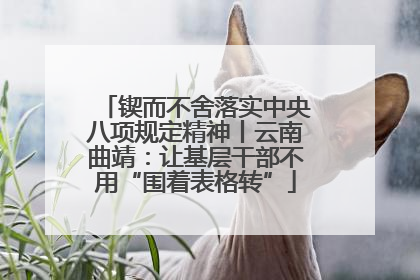 锲而不舍落实中央八项规定精神丨云南曲靖：让基层干部不用“围着表格转”
