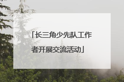 长三角少先队工作者开展交流活动
