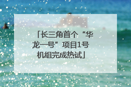 长三角首个“华龙一号”项目1号机组完成热试