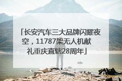 长安汽车三大品牌闪耀夜空，11787架无人机献礼重庆直辖28周年
