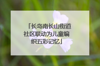长岛南长山街道社区联动为儿童编织五彩记忆