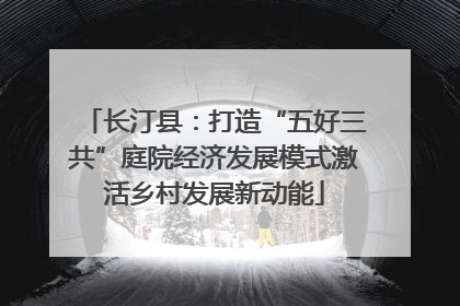 长汀县：打造“五好三共”庭院经济发展模式激活乡村发展新动能