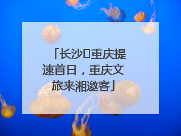 长沙⇌重庆提速首日，重庆文旅来湘邀客