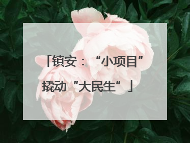 镇安：“小项目”撬动“大民生”