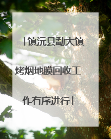 镇沅县勐大镇烤烟地膜回收工作有序进行