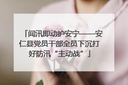 闻汛即动护安宁——安仁县党员干部全员下沉打好防汛“主动战”