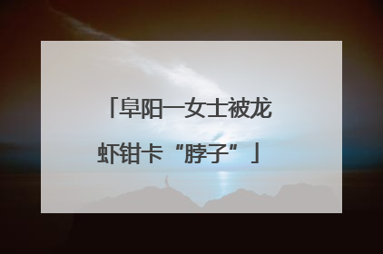 阜阳一女士被龙虾钳卡“脖子”