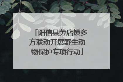 阳信县劳店镇多方联动开展野生动物保护专项行动