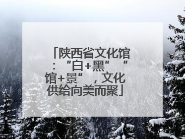 陕西省文化馆：“白+黑”“馆+景”，文化供给向美而聚