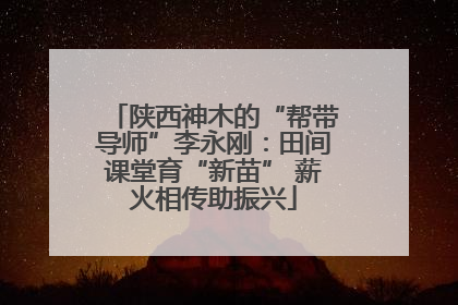 陕西神木的“帮带导师”李永刚：田间课堂育“新苗” 薪火相传助振兴