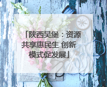 陕西吴堡：资源共享惠民生 创新模式促发展