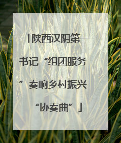 陕西汉阴第一书记“组团服务”奏响乡村振兴“协奏曲”
