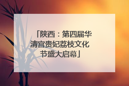 陕西：第四届华清宫贵妃荔枝文化节盛大启幕