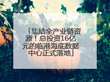 集结全产业链资源！总投资16亿元的临港海底数据中心正式落地