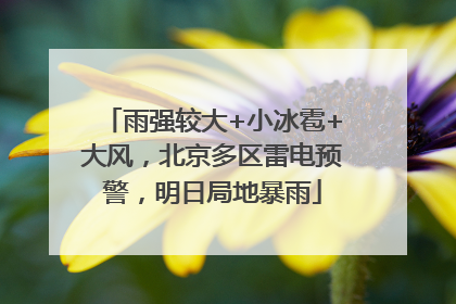 雨强较大+小冰雹+大风，北京多区雷电预警，明日局地暴雨