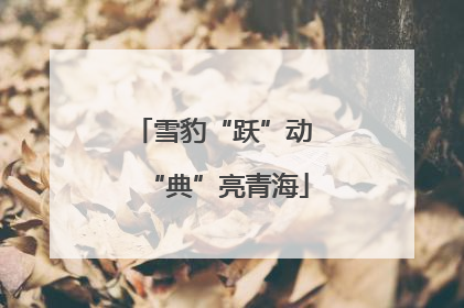 雪豹“跃”动 “典”亮青海