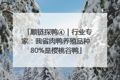 顺链探鸭④｜行业专家：我省肉鸭养殖品种80%是樱桃谷鸭