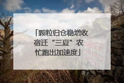 颗粒归仓稳增收 宿迁“三夏”农忙跑出加速度