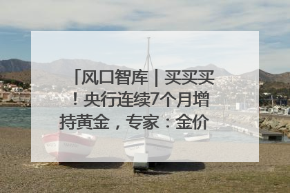 风口智库｜买买买！央行连续7个月增持黄金，专家：金价或仍易涨难跌