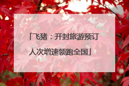 飞猪：开封旅游预订人次增速领跑全国