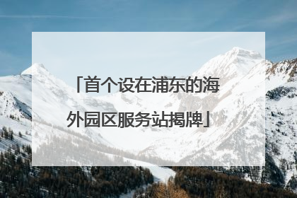 首个设在浦东的海外园区服务站揭牌