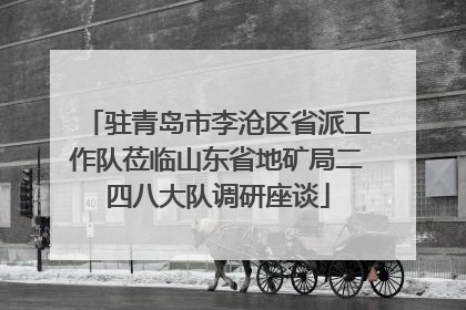 驻青岛市李沧区省派工作队莅临山东省地矿局二四八大队调研座谈
