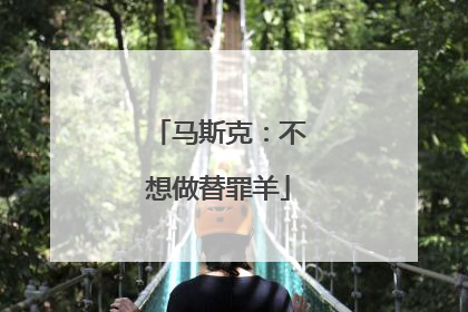 马斯克：不想做替罪羊