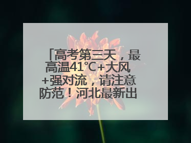 高考第三天，最高温41℃+大风+强对流，请注意防范！河北最新出行信息→