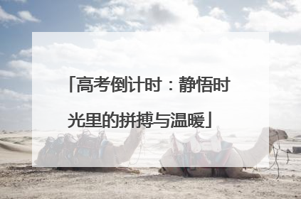 高考倒计时：静悟时光里的拼搏与温暖