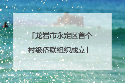 龙岩市永定区首个村级侨联组织成立