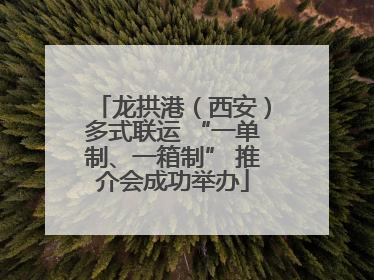 龙拱港（西安）多式联运 “一单制、一箱制” 推介会成功举办
