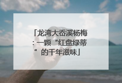 龙湾大岙溪杨梅：一颗“红盘绿蒂”的千年滋味