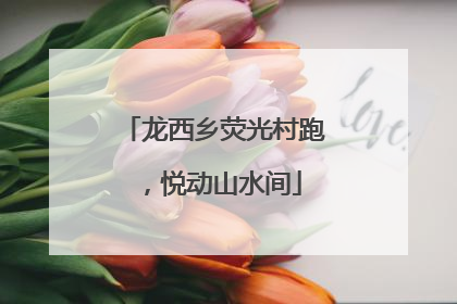龙西乡荧光村跑，悦动山水间