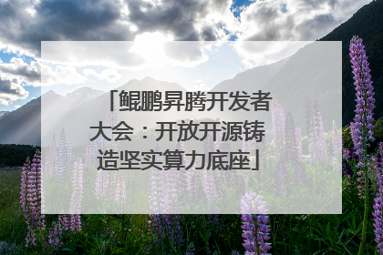 鲲鹏昇腾开发者大会：开放开源铸造坚实算力底座