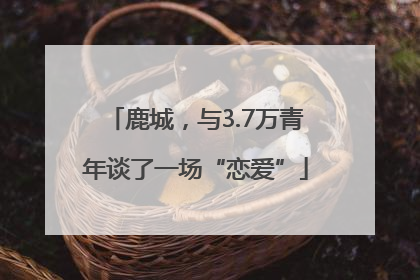 鹿城，与3.7万青年谈了一场“恋爱”
