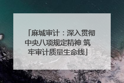 麻城审计：深入贯彻中央八项规定精神 筑牢审计质量生命线