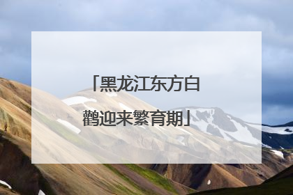 黑龙江东方白鹳迎来繁育期