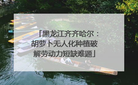 黑龙江齐齐哈尔：胡萝卜无人化种植破解劳动力短缺难题